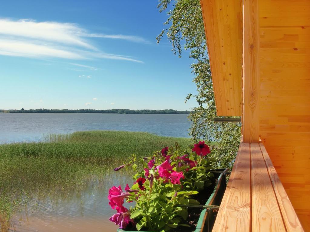 Holiday Complex Cirmas Ezerkrasts Ludza Eksteriør billede